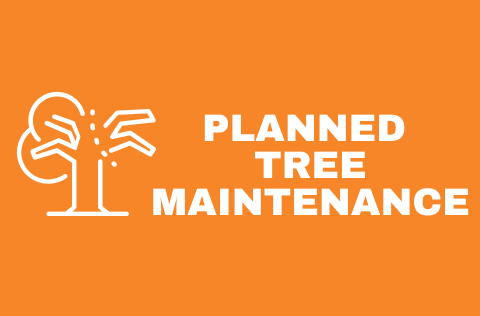 Planned Tree Maintenance (1).png