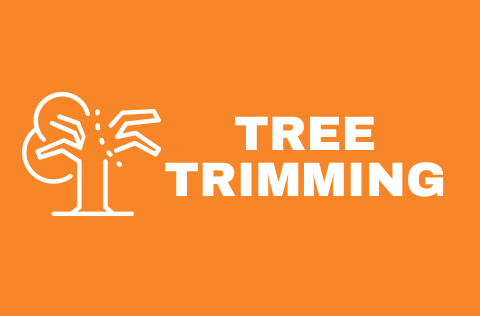 Tree Trimming Works Notice banner.png