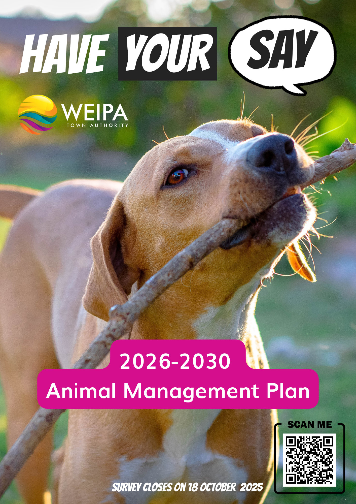 Have your say - Corporate Plan 2025.png