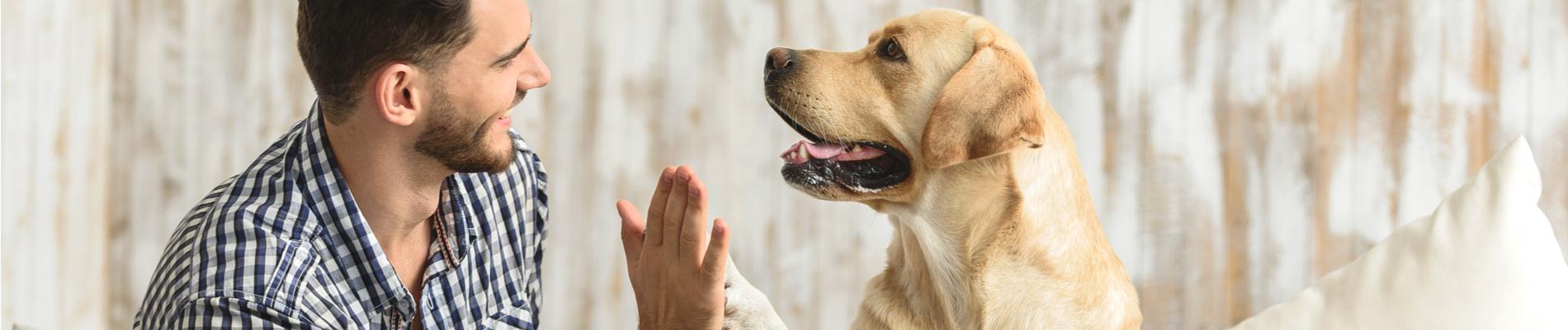 Man giving his dog a high five